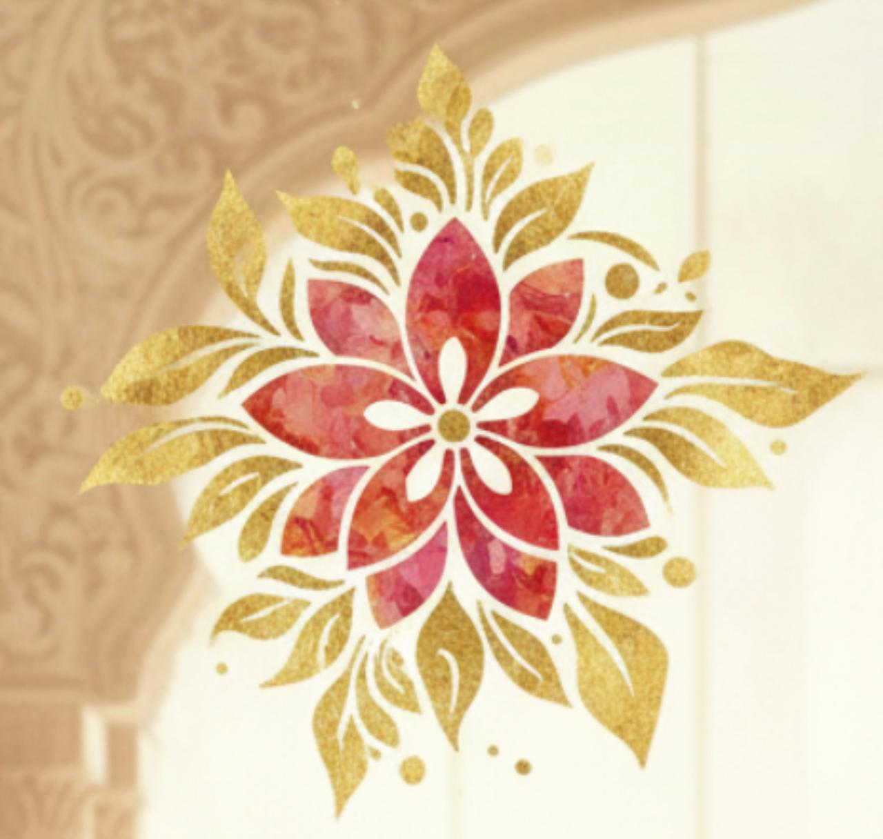 Aashvi  Creations                                     